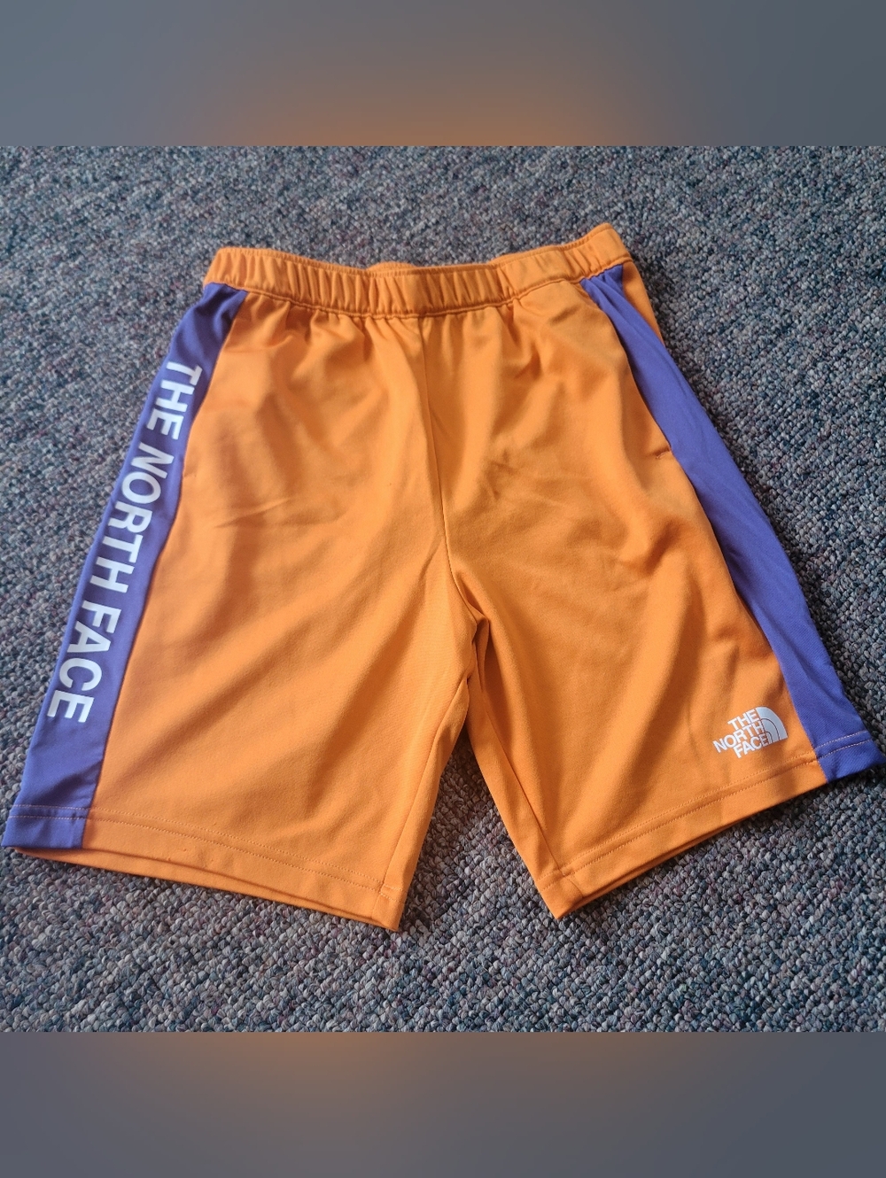 The North Face Orange Shorts with Side Panels